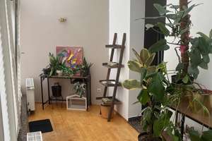 Property thumbnail 13