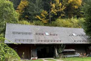 Naturidyll: Einzigartiges Doppelhaus mit Charme und Charakter in traumhafter Lage – Holzwaldstrasse 26, 77776 Bad Rippoldsau-Schapbach – Vorschaubild 12