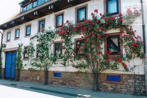 Traumhaftes Mehrgenerationenhaus oder kombiniertes Wohnen/Arbeiten/Vermieten – Rhein-Neckar-Kreis – Vorschaubild 1