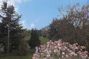 Frei stehender Bungalow mit Luxusausstattung auf Traumgrundstück in Bestlage – Main-Taunus-Kreis – Vorschaubild 10