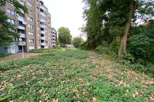 Property thumbnail 7