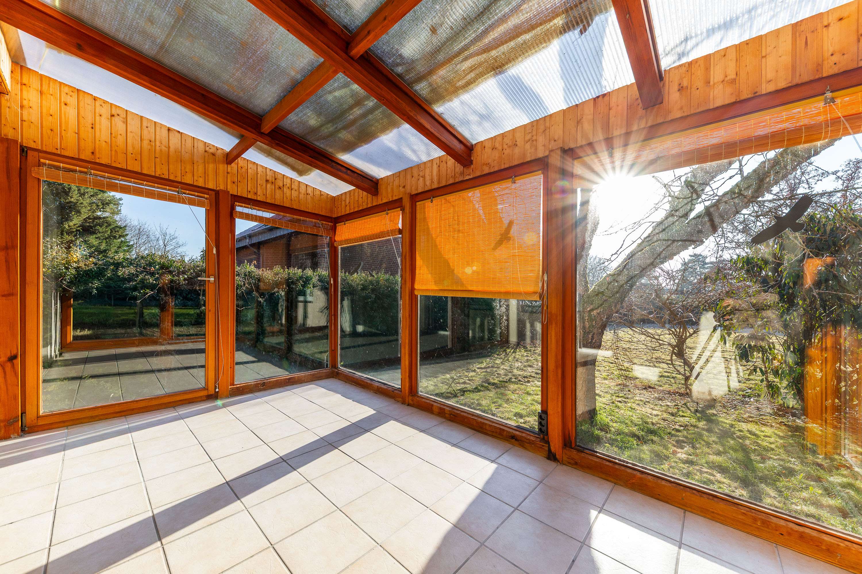 Immobilie in Estorf - Zwei Familien, ein Zuhause: Großes Grundstück, unendliche Möglichkeiten - Bild 1