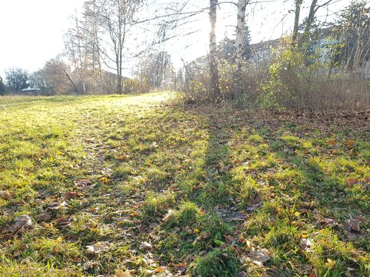 Single wohnung in altenburg