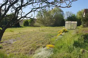 Natur pur – Einfamilienhaus mit großem Grundstück und Seenähe – Mecklenburg-Strelitz (Kreis) – Vorschaubild 28