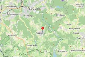 Property thumbnail 19