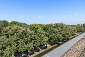 Property thumbnail 12