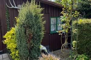 Property thumbnail 12