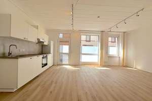 🏠 Moderne frisch sanierte 2-Zi-Wohnung mit offener Wohnküche und neuer EBK – MA-Waldhof – Oppauer Str. 24, 68305 Waldhof, Mannheim – Vorschaubild 4