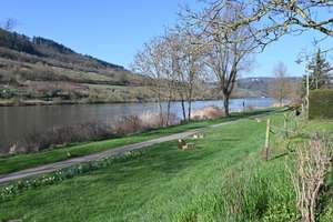 Charmantes und großes Wohnhaus – Die vollständige Adresse der Immobilie erhältst du vom Anbieter., 56856 Zell (Mosel) – Vorschaubild 23