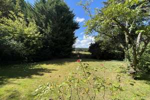 Raum zur freien Entfaltung + Gartenparadies! – Die vollständige Adresse der Immobilie erhältst du vom Anbieter., 53127 Ippendorf, Bonn – Vorschaubild 13