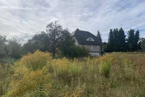 Haus in Speyer Süd Feldrandlage, unverbaubarer Blick – Die vollständige Adresse der Immobilie erhältst du vom Anbieter., 67346 Süd, Speyer – Vorschaubild 2