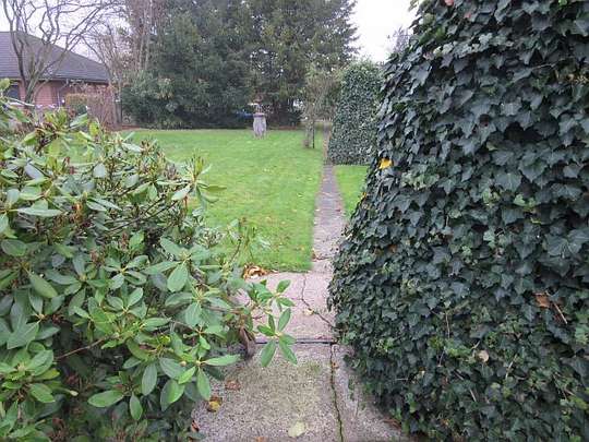Garten 3 Garten 3