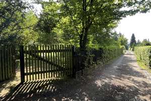 Idyllisches Waldgrundstück mit Bungalow und Finnhütte nahe Grimma – Die vollständige Adresse der Immobilie erhältst du vom Anbieter., 4680 Zschadraß – Vorschaubild 7