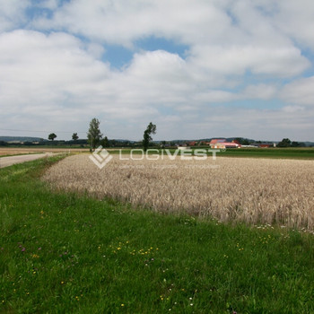 Großzügige Bauflächen für Lager- und Produktionsneubau nahe Leipzig