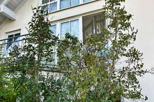 Großzügige, elegante  DHH mit EFH Charakter