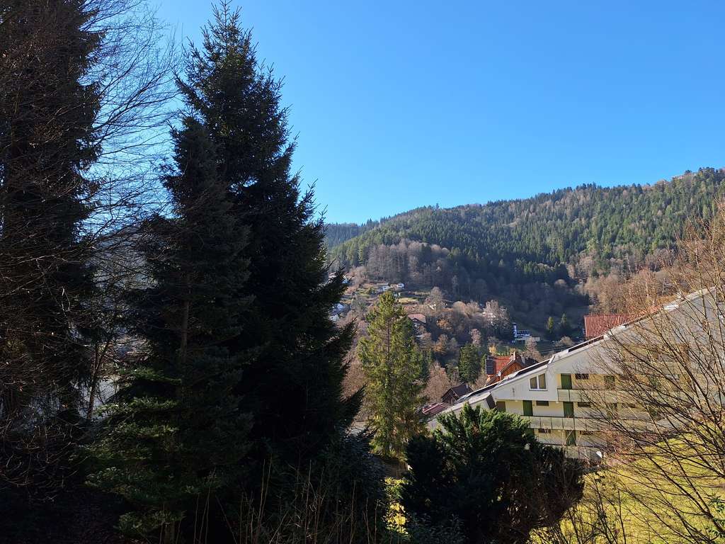 Immobilie in Bad Wildbad - Ferienwohnung in Bad Wildbad - Bild 0