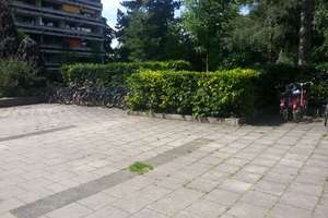 Möbliert: helle Terrassenwohnung am Luitpoldpark, U3/U8 und Tram 27 vor der Tür - we speak English – Schleißheimer Str. 276, 80809 Am Luitpoldpark, München – Vorschaubild 22