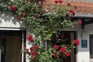 Ein echtes Münchner Kleinod – Charmantes RMH mit Garten – Kaufpreis auf Anfrage – Pulverturmstr. 29, 80935 Lerchenau-Ost, München – Vorschaubild 3
