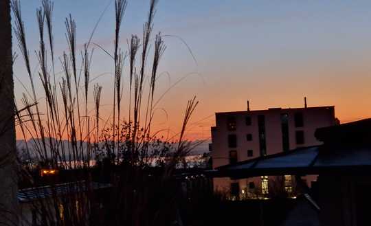 Renovierte, gepflegte, moderne 3-Zi. Whg. mit Penthouse-Charakter mit  Säntisblick in FN-Fischbach!!