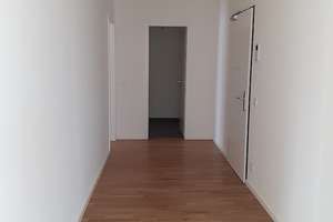 °Familien WILLKOMMEN° 5 Zimmer mit Eckbalkon, Einbauküche, 2 Bäder, Aufzug, moderne Ausstattung – Weidenbaumsweg 91f, 21035 Bergedorf (Ortsteil), Hamburg – Vorschaubild 16