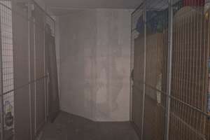 1-Zimmer-Wohnung in Wiesbaden-Biebrich – Die vollständige Adresse der Immobilie erhältst du vom Anbieter., 65203 Biebrich, Wiesbaden – Vorschaubild 9