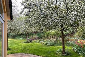 Wohntraum in top-Lage, Großzügiges EFH mit ELW und Gartenparadies, sofort Frei! – Die vollständige Adresse der Immobilie erhältst du vom Anbieter., 86356 Neusäß – Vorschaubild 2