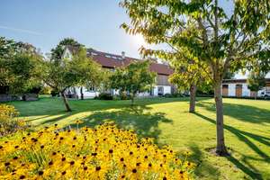 Property thumbnail 11