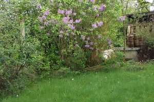 Einfamilienhaus , Garten , Garage in Rhein-Sieg-Kreis – Rhein-Sieg-Kreis – Vorschaubild 14