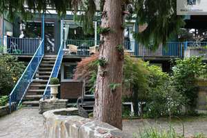 Property thumbnail 43