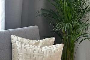 Freie Lieferung – Helles City-Apartment in Billstedt, perfekt für Singles* – Steinfeldstraße 8a, 22119 Billstedt, Hamburg – Vorschaubild 2