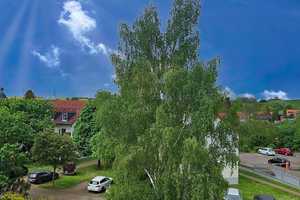 Reihenmittelhaus mit Startklarer Renovierungsbasis – Ihre Vision, unsere Vorarbeit – Weimarer Land (Kreis) – Vorschaubild 4