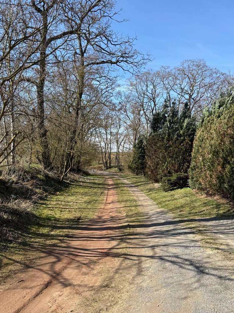Immobilie in Lindendorf - Idyllisches Einfamilienhaus mit großem Grundstück und Weitblick in Lindendorf - Bild 3