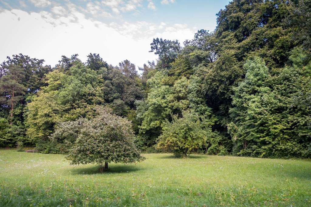 Ruhiges Baugrundstück in Stolzenhagen - Bis 1238 qm in Seenähe und direkt am Wald!