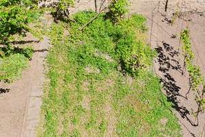 Helle 4,5-ZKB-ETW mit Balkon und Gartenanteil in Mainzer Oberstadt, provisionsfrei von privat – Die vollständige Adresse der Immobilie erhältst du vom Anbieter., 55131 Oberstadt, Mainz – Vorschaubild 6