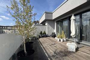 Vermietete Designer 2-Zimmerwohnung, über den Dächern Berlins, mit großer Dachterrasse! – Die vollständige Adresse der Immobilie erhältst du vom Anbieter., 13055 Alt-Hohenschönhausen, Berlin – Vorschaubild 6