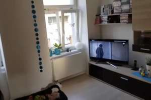2-Zimmer Wohnung Stadtmitte Dieburg – Spitalstraße 29, 64807 Dieburg – Vorschaubild 7