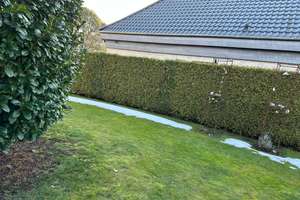 Möblierter Bungalow zur Vermietung – ruhig & sonnig in Garbsen  - ab sofort – Wilhelm Raabe Straße 22, 30826 Garbsen – Vorschaubild 8
