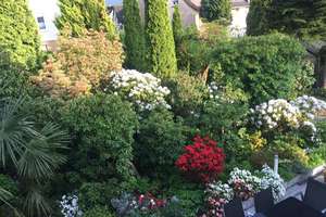 Charmantes Haus mit liebevoll angelegtem Garten! – 45219 Kettwig, Essen – Vorschaubild 6