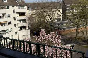 Property thumbnail 14