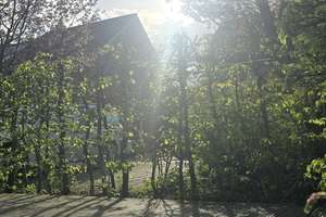 3-Zimmer EG-Wohnung, SW-Terrasse – Ellen-Scheuner-Weg 6, 48147 Rumphorst, Münster – Vorschaubild 44