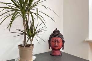 Property thumbnail 10