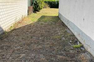Charmantes, renoviertes Einfamilienhaus mit großem Garten – Im Schaffner 5, 69123 Pfaffengrund, Heidelberg – Vorschaubild 3