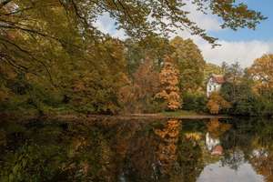 Property thumbnail 7