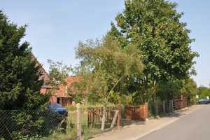 Fachwerk-Bauernhaus (EFH) mit Zwischenbau und Scheune oder sep. Bauplatz – Gifhorn (Kreis) – Vorschaubild 38