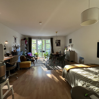 Wohnung mieten in Dresden