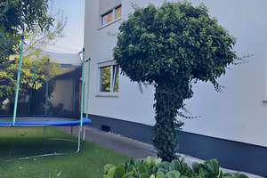 Mehrfamilienhaus | Renditeobjekt | 7 Einheiten | Sofort verfügbar – Die vollständige Adresse der Immobilie erhältst du vom Anbieter., 88524 Uttenweiler – Vorschaubild 1