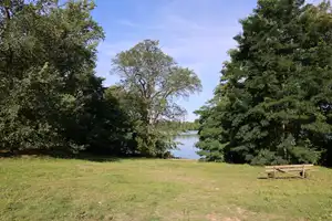 Wunderschön gelegenes Pachtgrundstück mit Bungalow in Seenähe – Schleiweg 334-336, 15537 Oder-Spree (Kreis) – Vorschaubild 2
