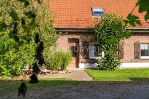 Einzigartige Ranch: 6000 m² Freiheit & über 800 m² Wohnfläche! – Kleve (Kreis) – Vorschaubild 96
