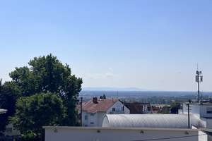 Hofheim-Diedenbergen - Gemütliche 3-Zimmer-Wohnung mit EBK und Dachterrasse ! – Turnerweg x, 65719 Hofheim am Taunus – Vorschaubild 2