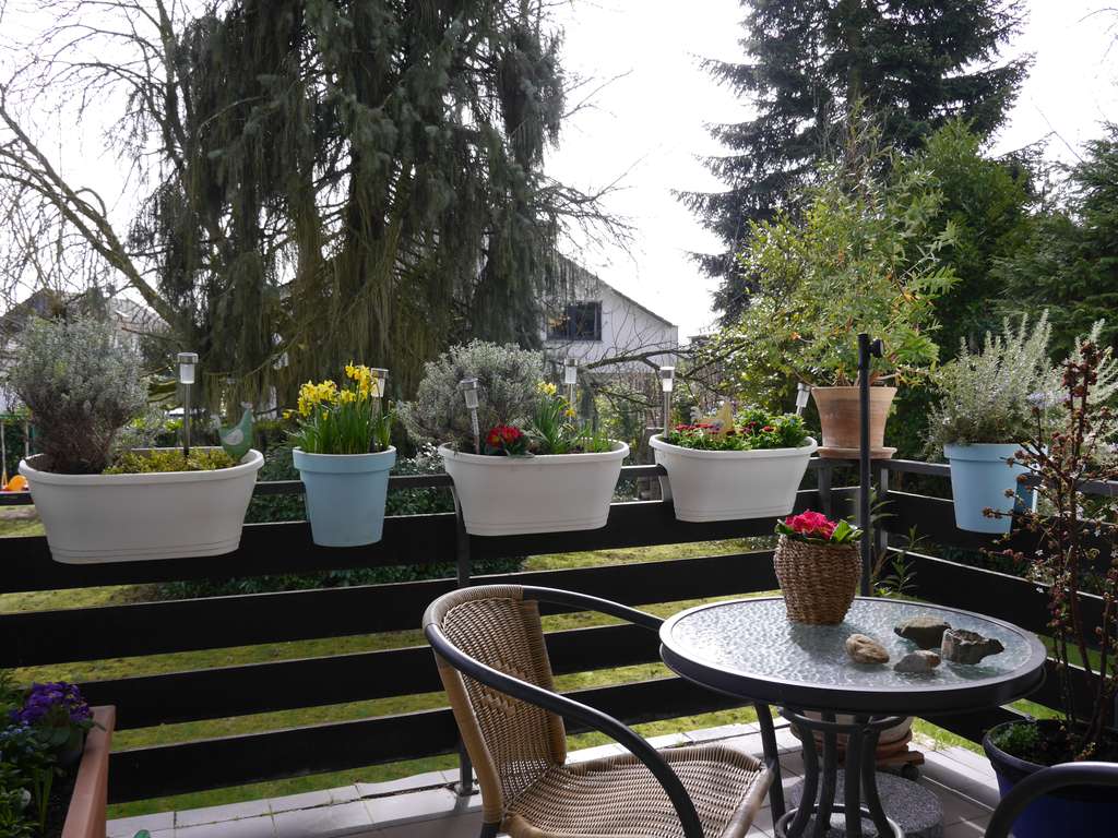 Immobilie in Rösrath - Geräumige 4-Zimmer-Wohnung in ruhiger Lage mit großem Gemeinschaftsgarten - Bild 3